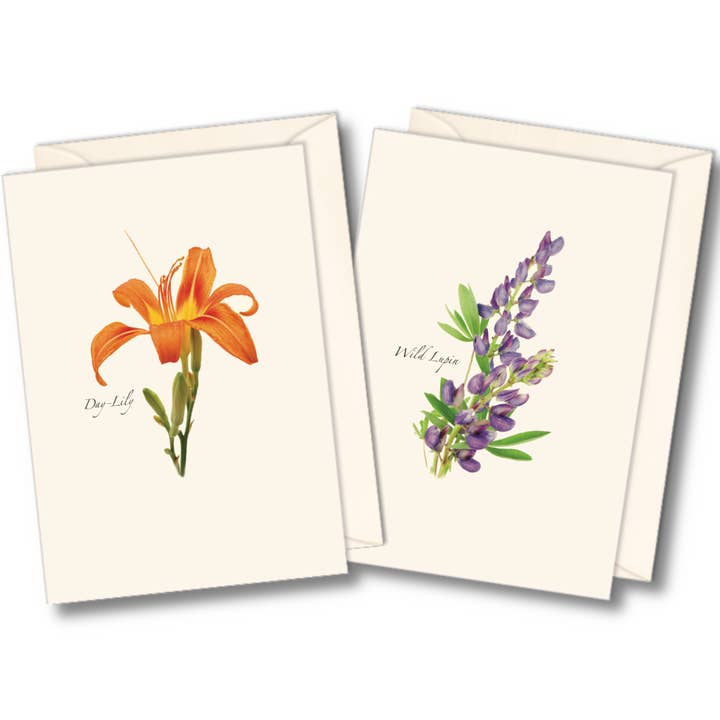 Wildflower Assortment for wholesale by Earth Sky + Water