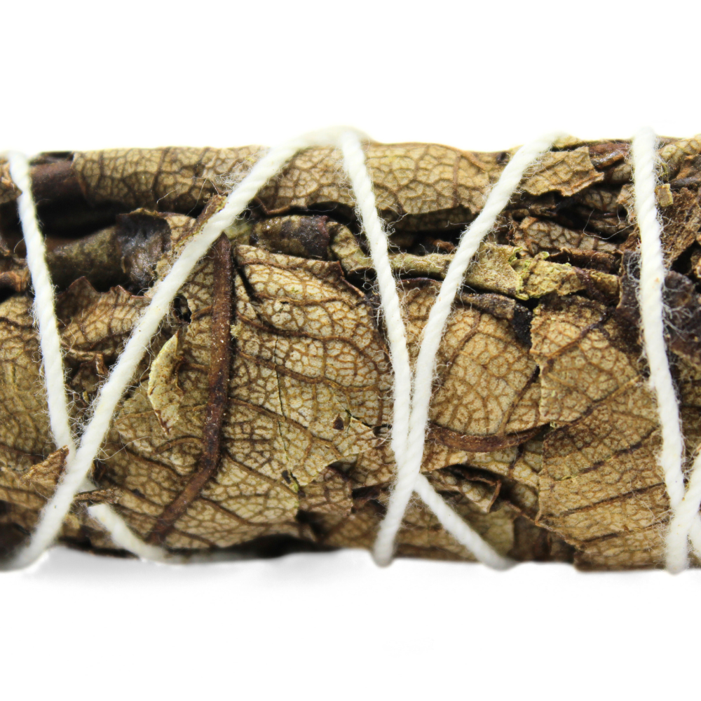 Green Tree - Wholesale Sage Bundle - Black Sage 10 Cm1