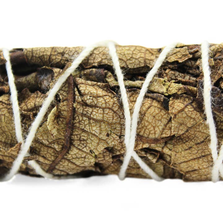 Green Tree - Wholesale Sage bundle - Black Sage 10 Cm1