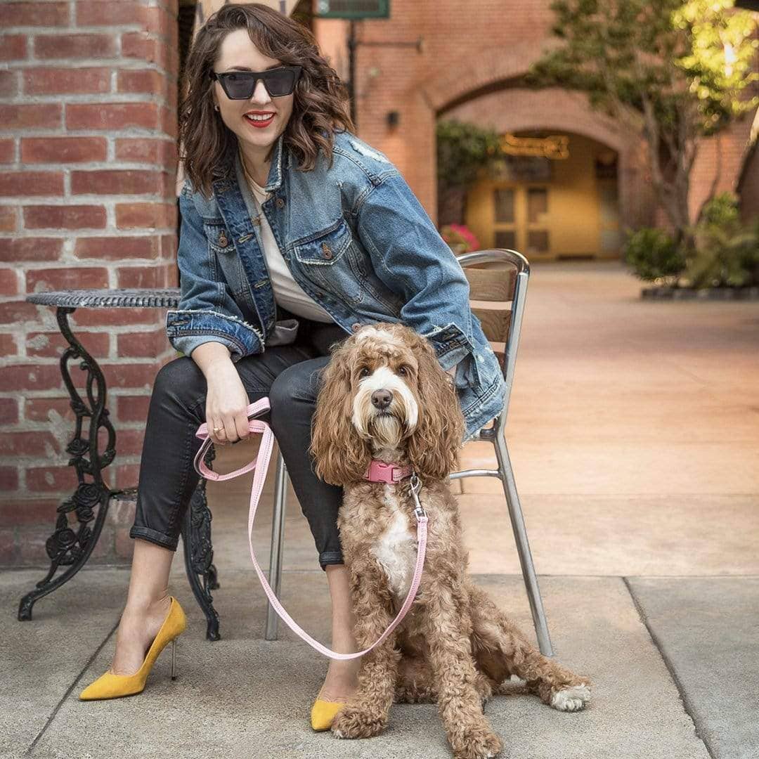 Blueberry Pet - Vente Collier – chien - Collier de sécurité rembourré en néoprène souple réfléchissant 3M53