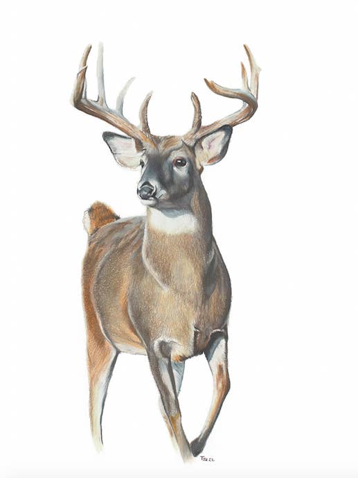 "Proceed with Caution" Colored Pencil Print for wholesale by 5th Season