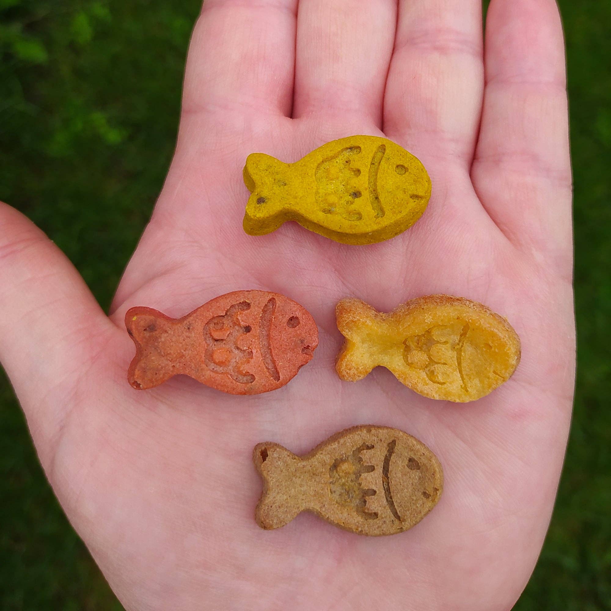 Collory - Wholesale Voedermat - Hond - Visvormige bakmatten voor hondenkoekjes (mini en medium)6