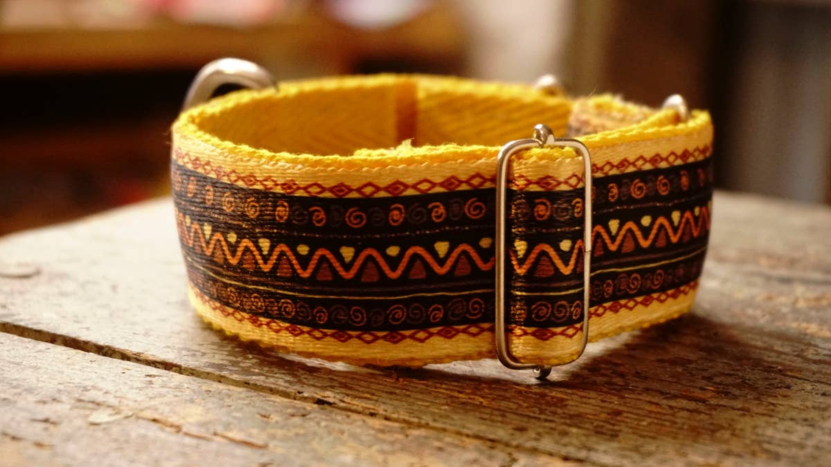 hundsfutter - Vente Collier – chien - Collier large jaune pour chiens10