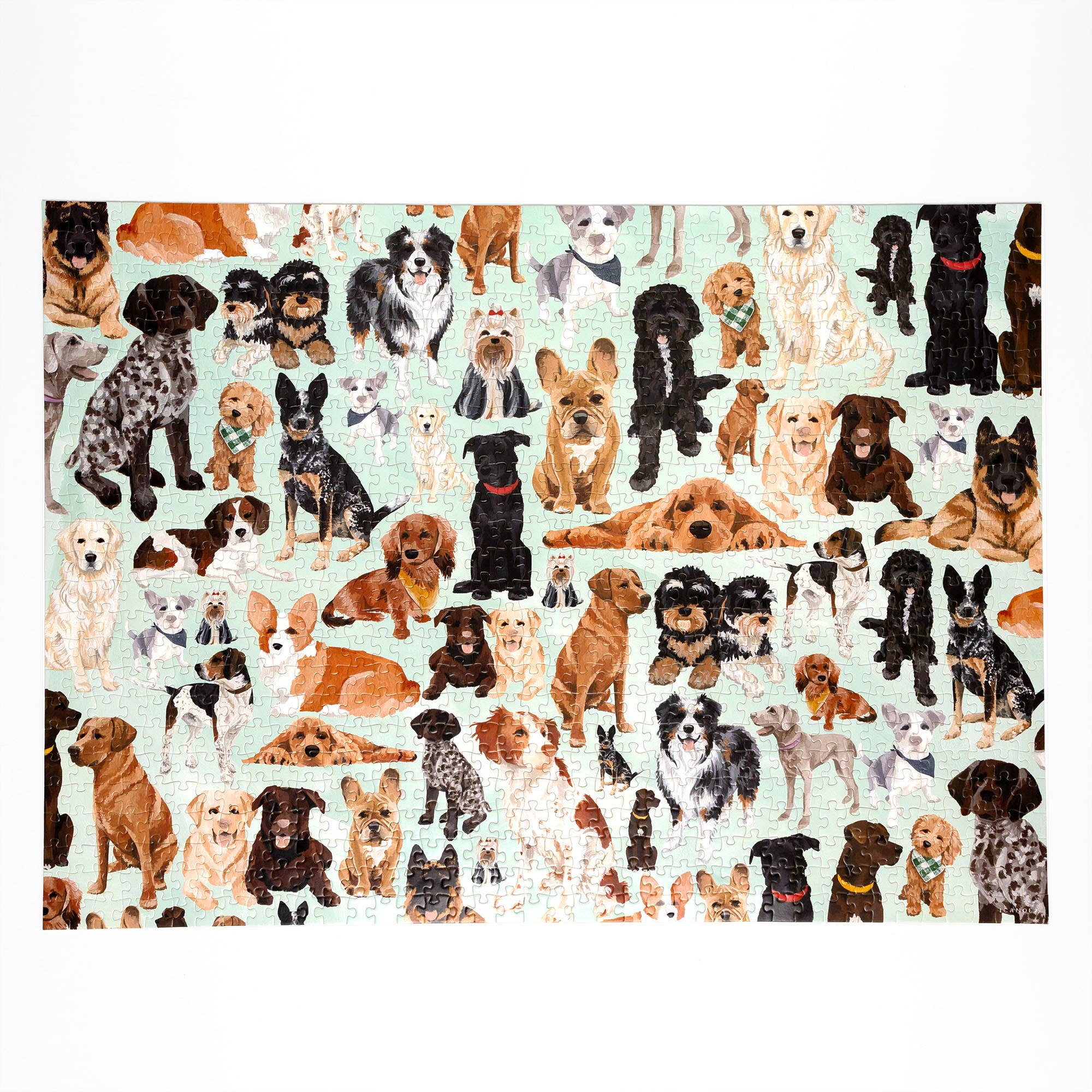 1canoe2 | One Canoe Two Paper Co. - Wholesale Puzzle - Adult - Furry Friends - 1,000 Piece Dogs Jigsaw Puzzle3