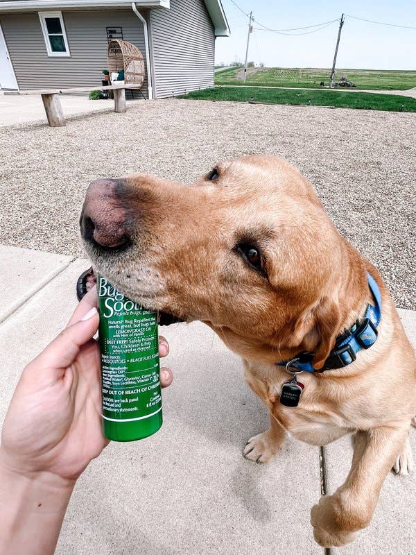 Eco Lips & Bug Soother - Wholesale Insect Repellent - Bug Soother Case9