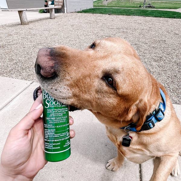 Eco Lips & Bug Soother - Wholesale Insect Repellent - Bug Soother Case9