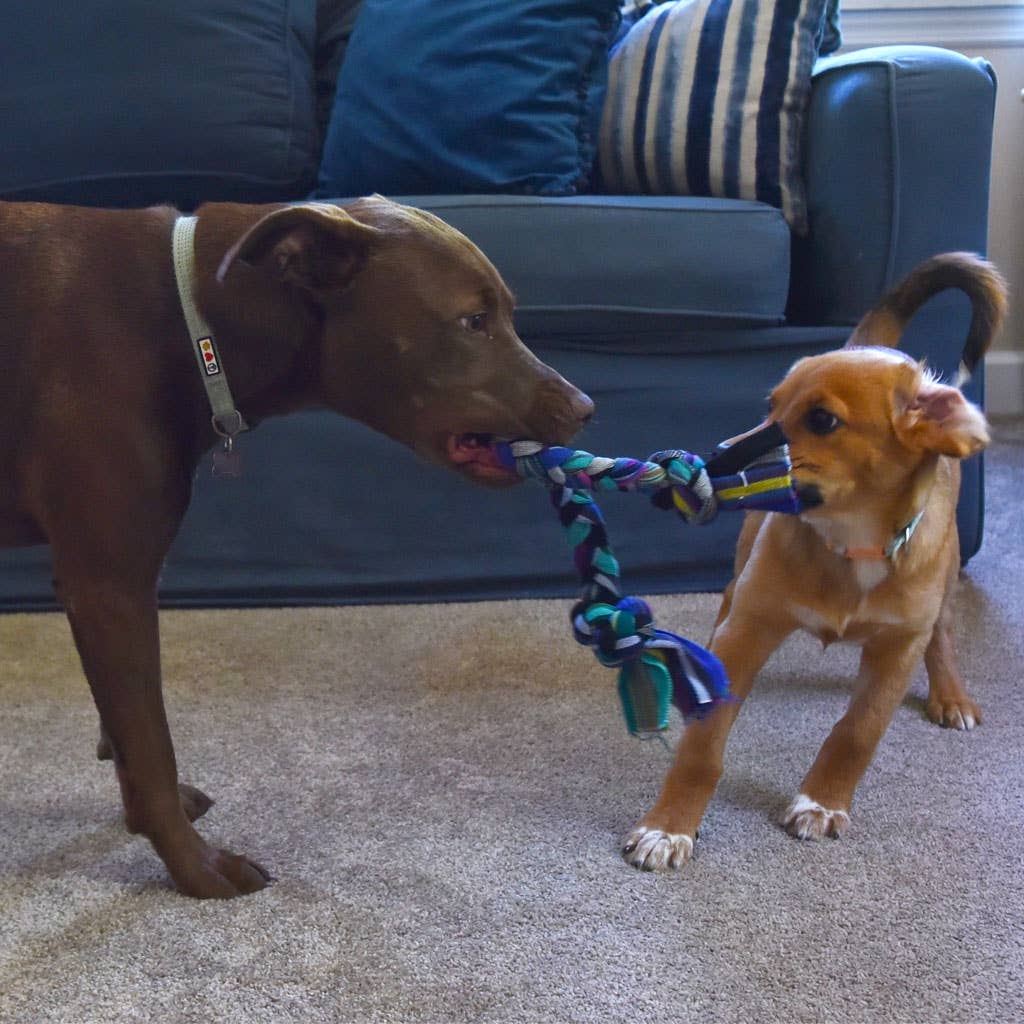 Mayamam Weavers - Wholesale Pet Rope Toy - Dog - Braided Zero Waste Dog Tug Toy5