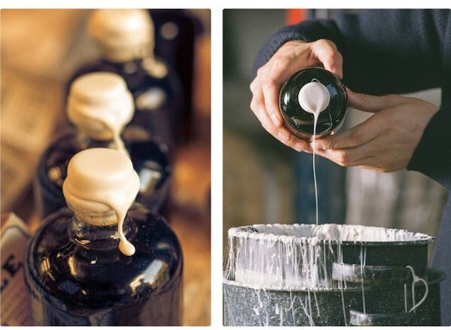 Mikuni Wild Harvest USA – Engroshandel Eddike – Noble Tonic 04: Faraos Citron Hvidvinseddike 450 ml1