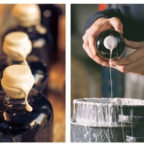 Mikuni Wild Harvest USA – Engroshandel Eddike – Noble Tonic 04: Faraos Citron Hvidvinseddike 450 ml1