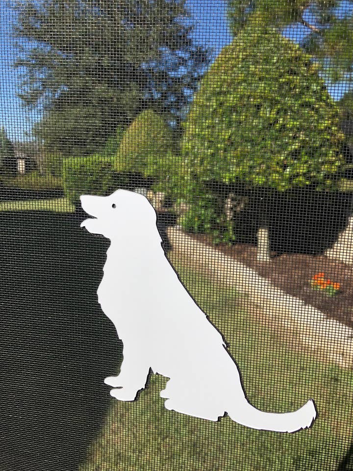 Aimant d'écran flexible Golden Retriever de DCentral 6,2 po x 5,2 po pour la vente par DCentral Magnetics