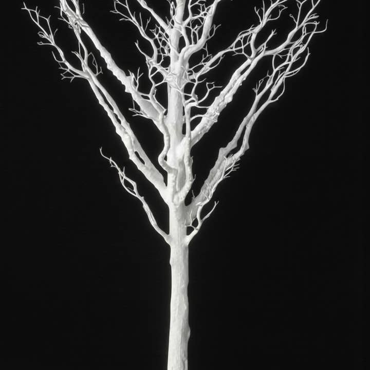 60" Manzanita-boom voor wholesale door Decor N Beyond