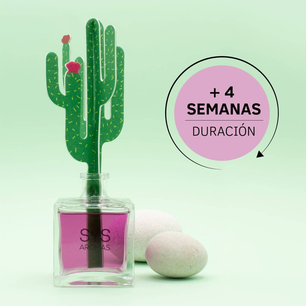 Laboratorio SYS - Wholesale Reed Diffuser - Ambient. Cactus SyS 90ml Lavender Diffuser3
