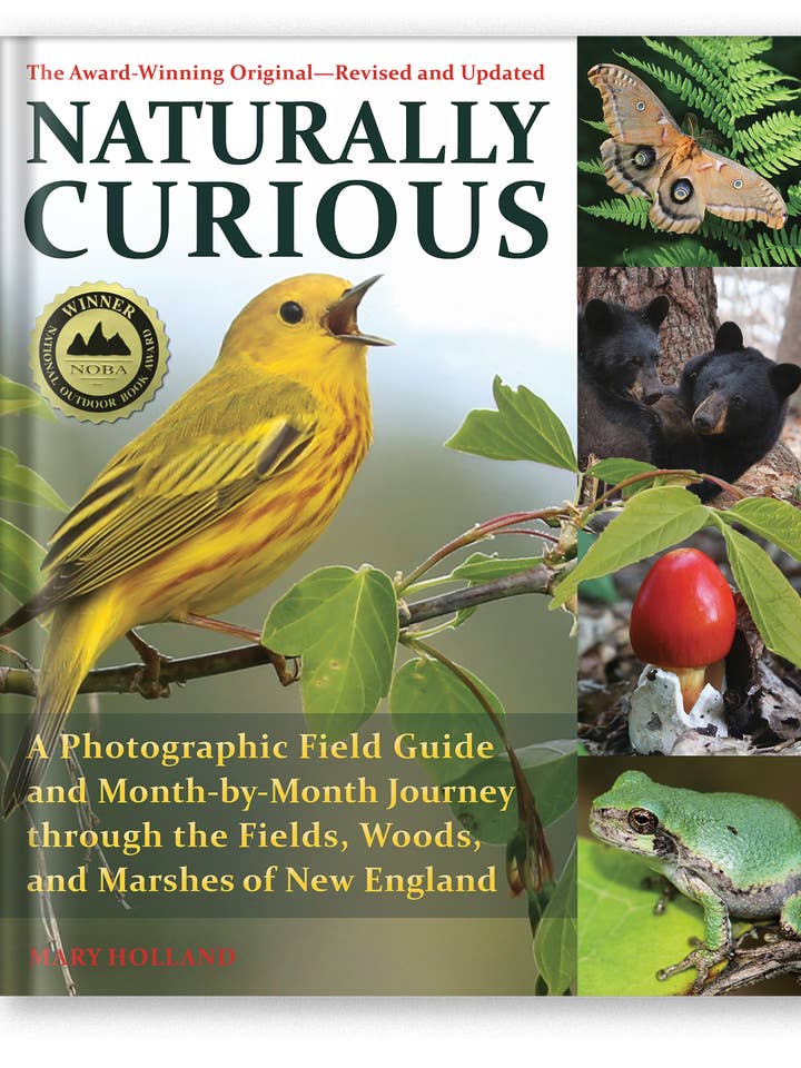 Naturally Curious (New Edition) for wholesale by Trafalgar Square Books
