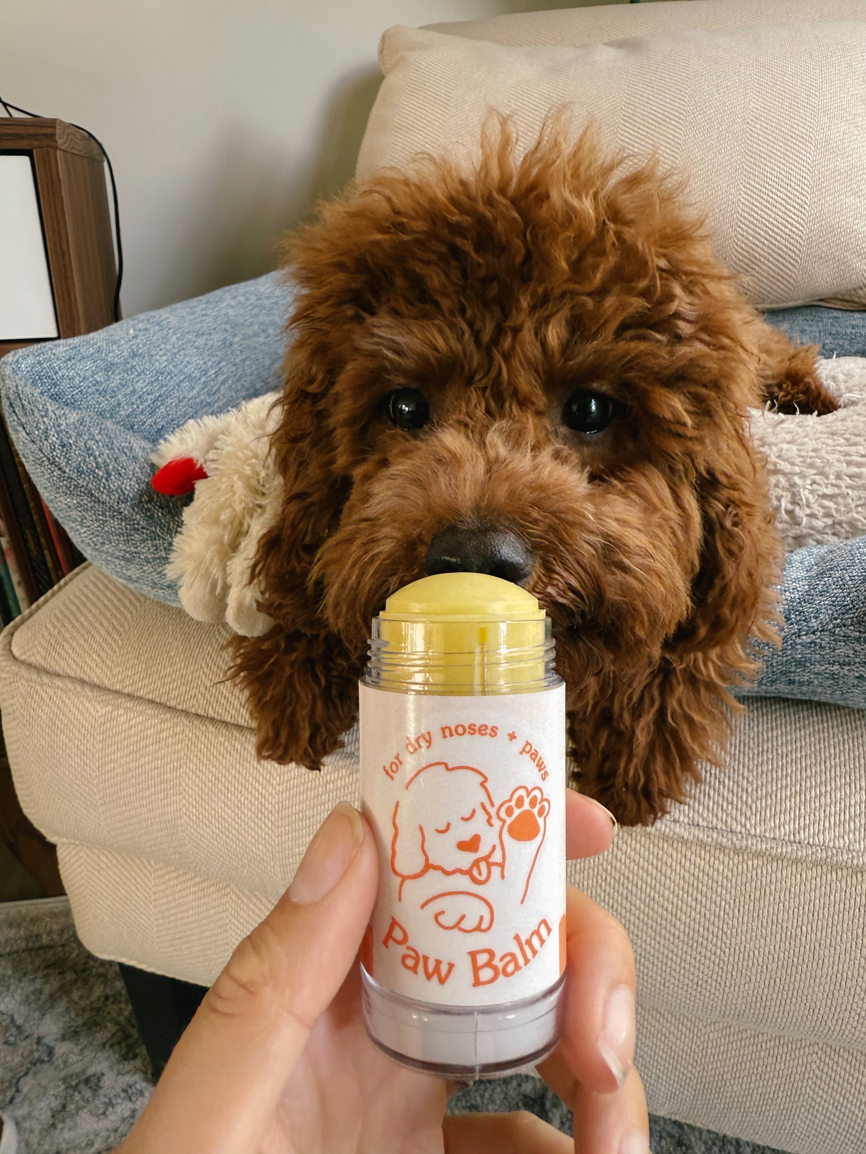 HoneyDrop - Wholesale Pet Balm - Dog - Paw Balm – Clean, Lick-Safe Pet Balm (1.6 oz)4