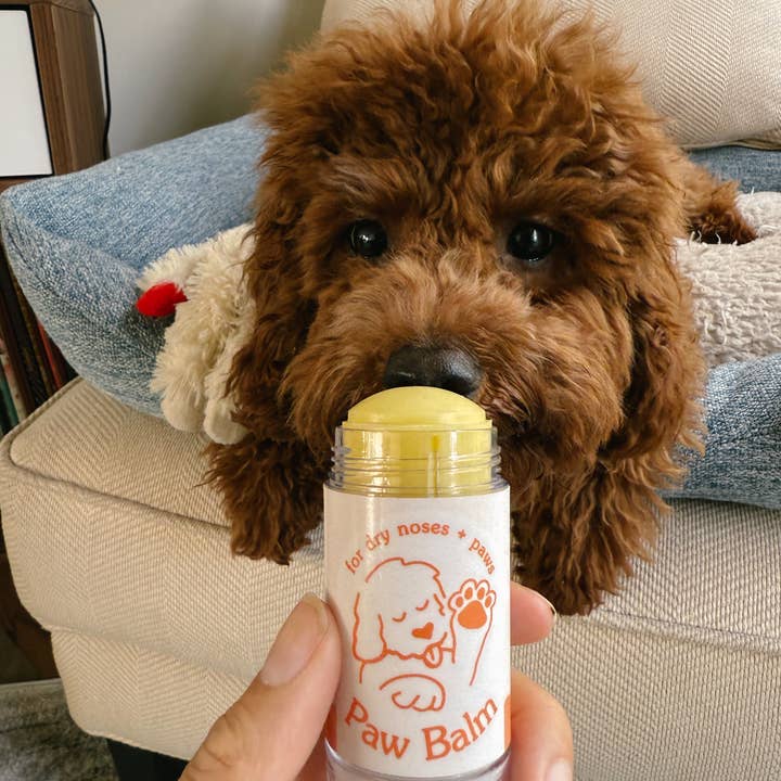 HoneyDrop - Wholesale Pet Balm - Dog - Paw Balm – Clean, Lick-Safe Pet Balm (1.6 oz)4