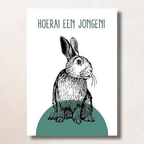 Hooray a boy/A6/Card for wholesale by Bijzondere Kaartjes