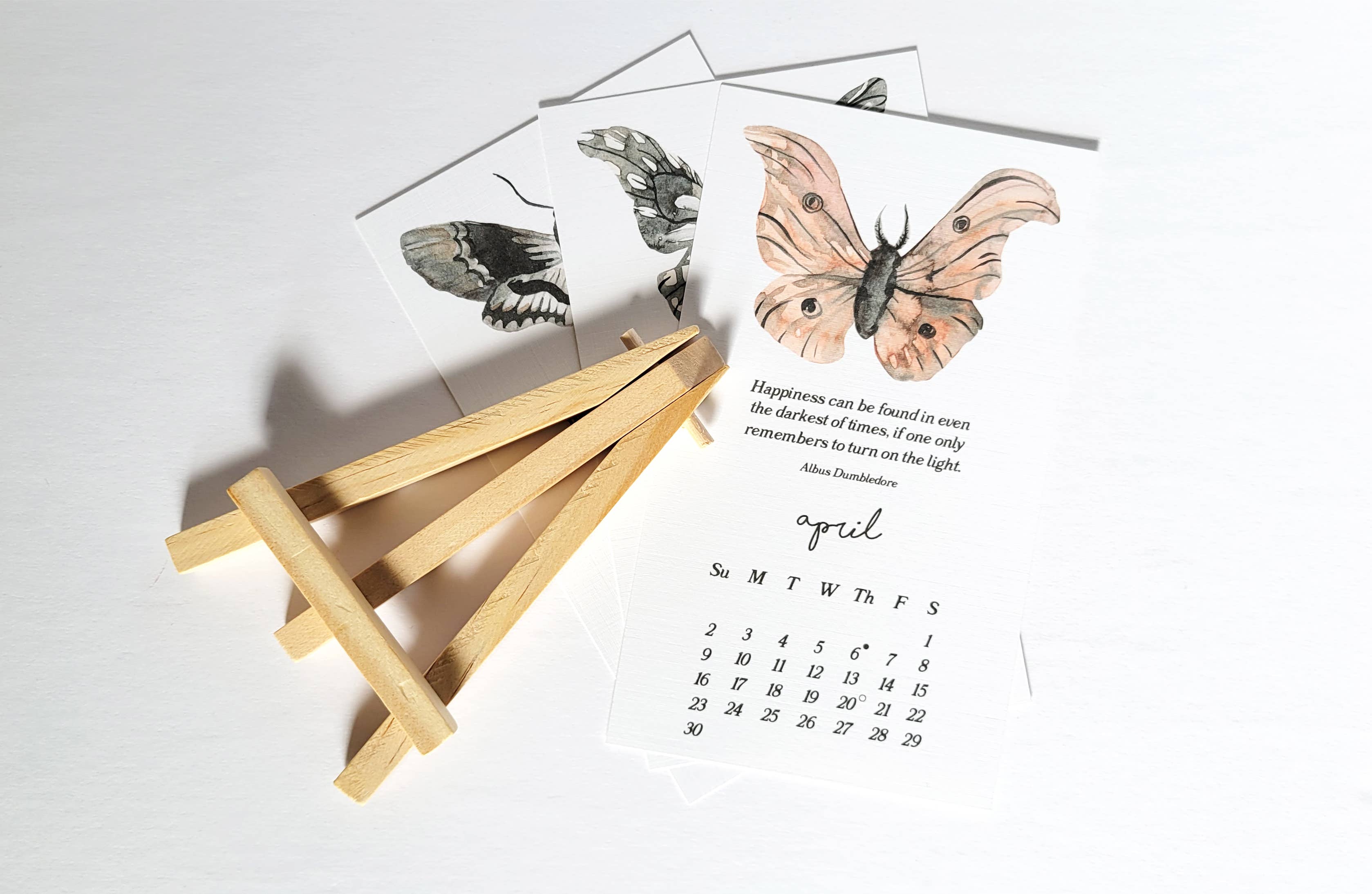 Lucky Dog Design Co. - Wholesale Calendar - Moths & Dreamy Book Quotes 2026 Desk Calendar7