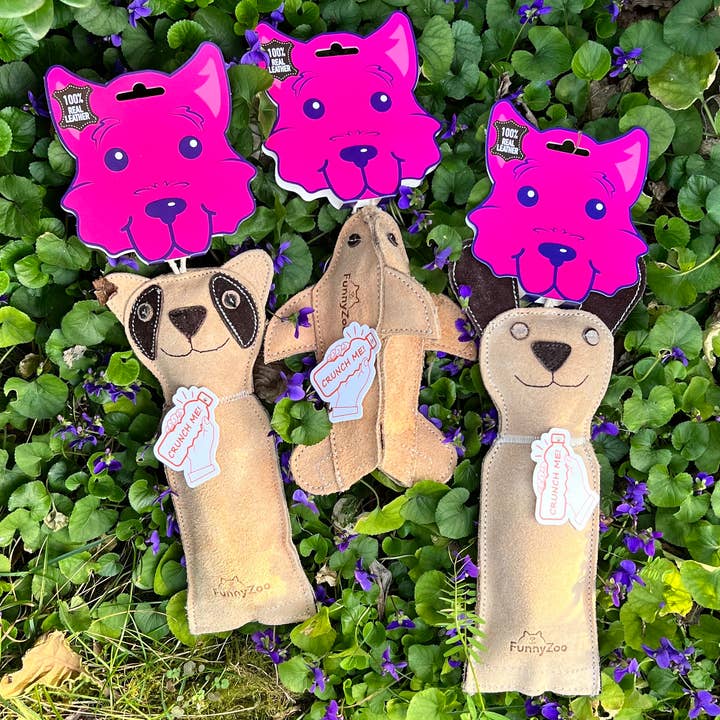 Funny Zoo - Wholesale Pet Squeaky Toy - Dog - Dog toy with bottle inside Dog3