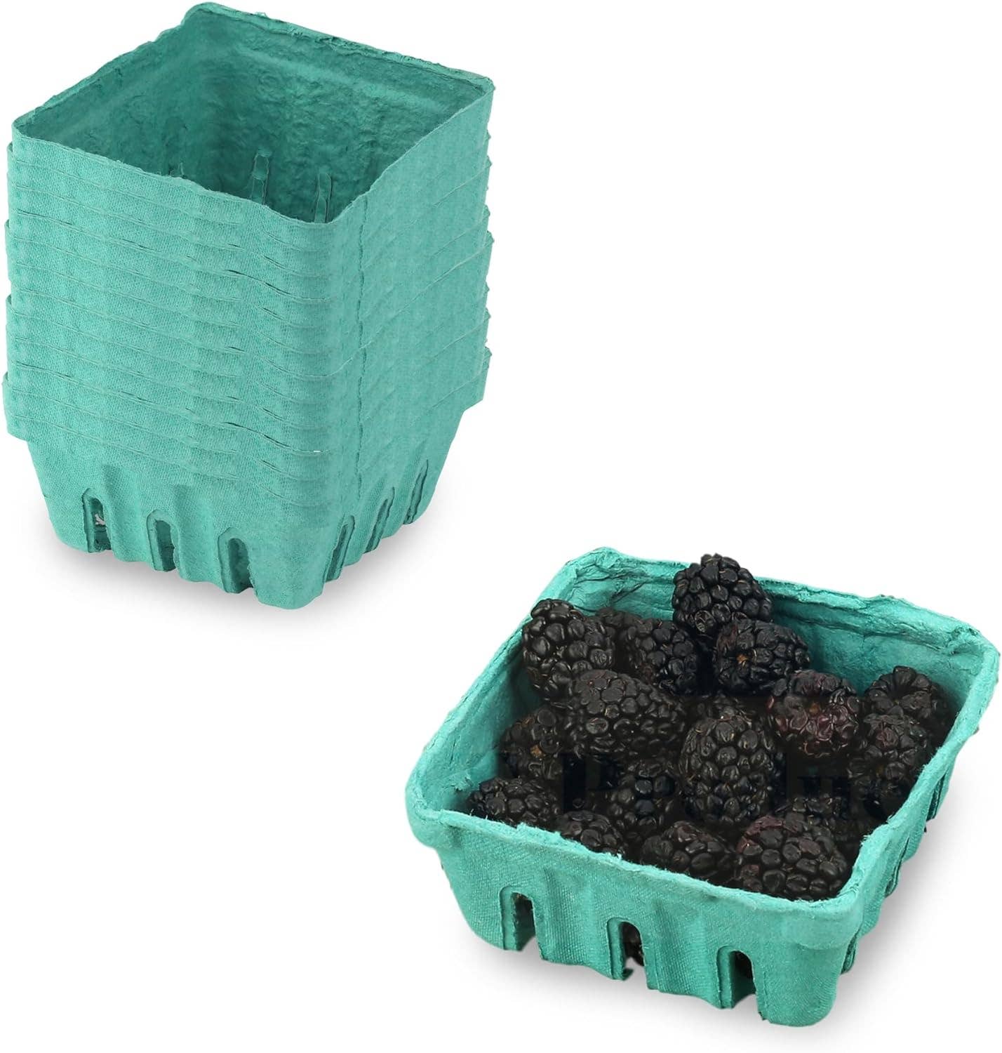 MT Products - Wholesale Fruit Basket - MT Products Green Vented Produce Berry Basket3