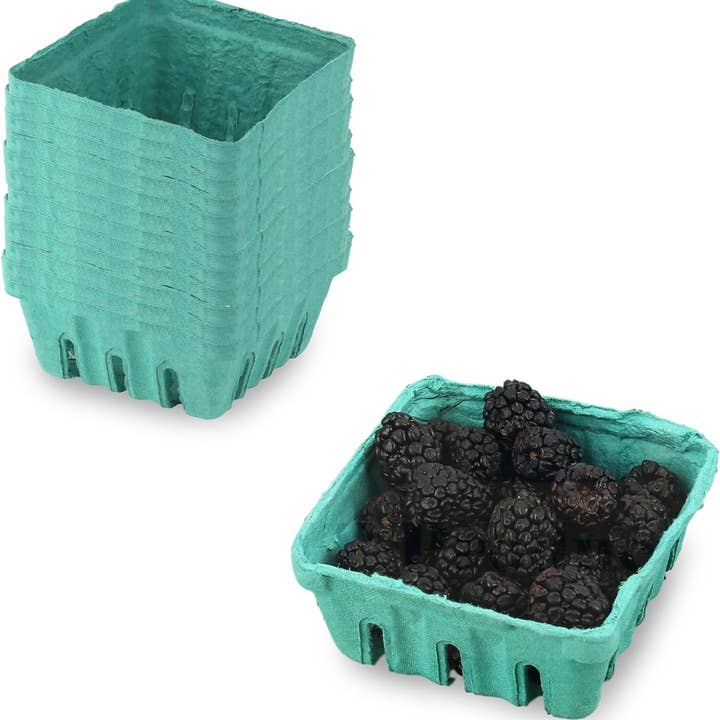 MT Products - Wholesale Fruit Basket - MT Products Green Vented Produce Berry Basket3