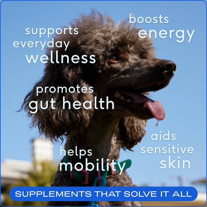 Native Pet - Wholesale Pet Supplement - Dog - The Daily Powder Supplement, 11-in-1 Multivitamins for Dogs