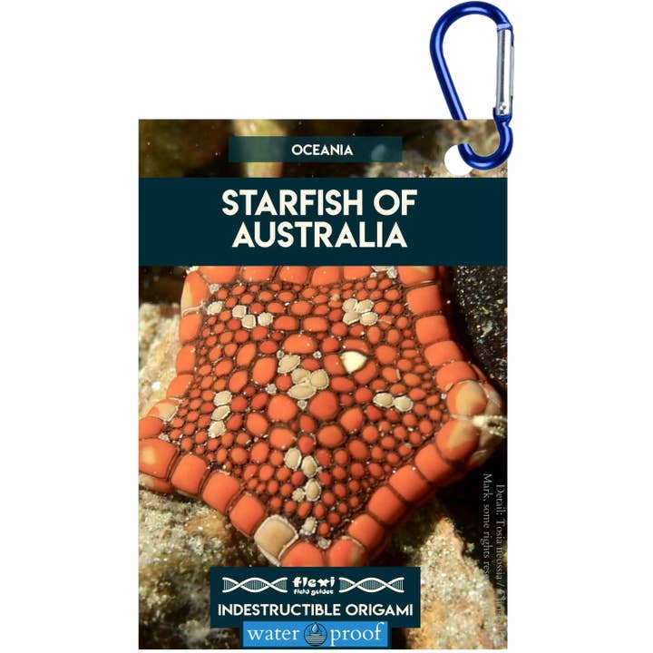 Seesterne Australiens-Unzerstörbares Origami für den Großhandel von Flexi Field Guides