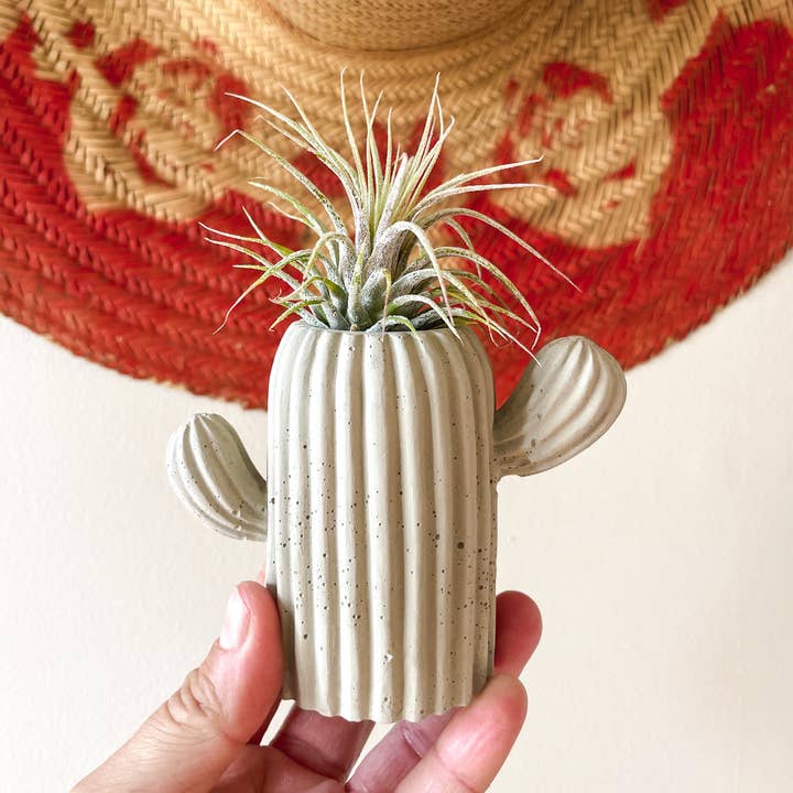 Green Jeans Houseplants - Vente Pot - Mini Cactus0