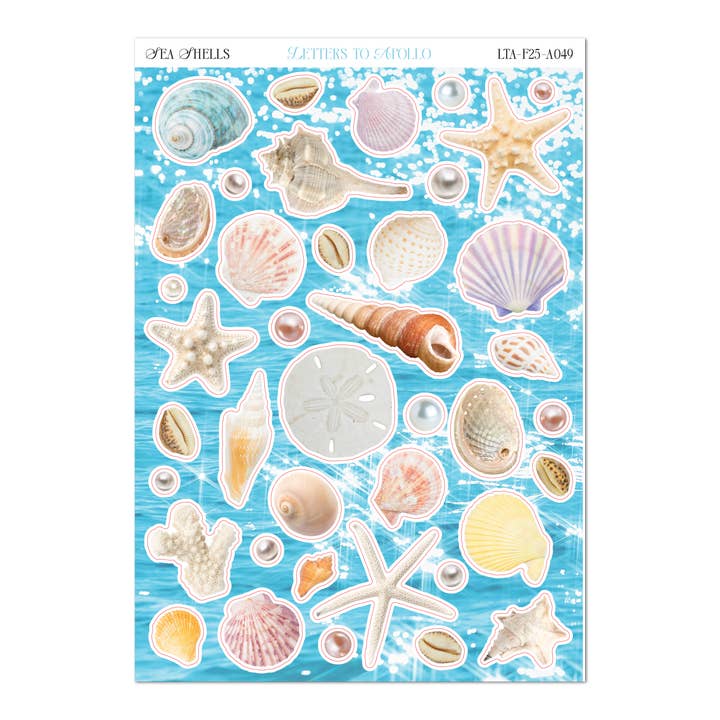 SEA SHELLS for wholesale by Letters to Apollo