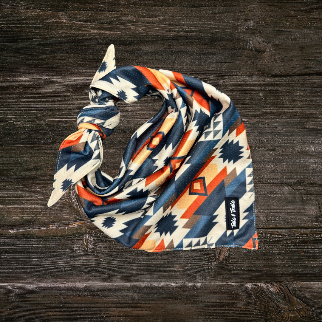 Tails and Trails - Wholesale Pet Bandana - Dog - Mayan Bandana0