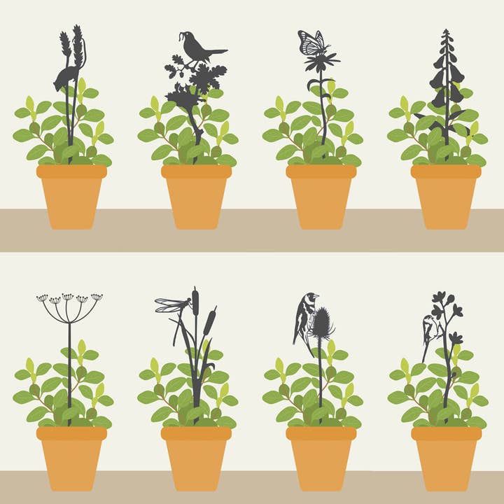 A Blackbird Sang - Wholesale Ornament - Pot Stems - Cow Parsley2