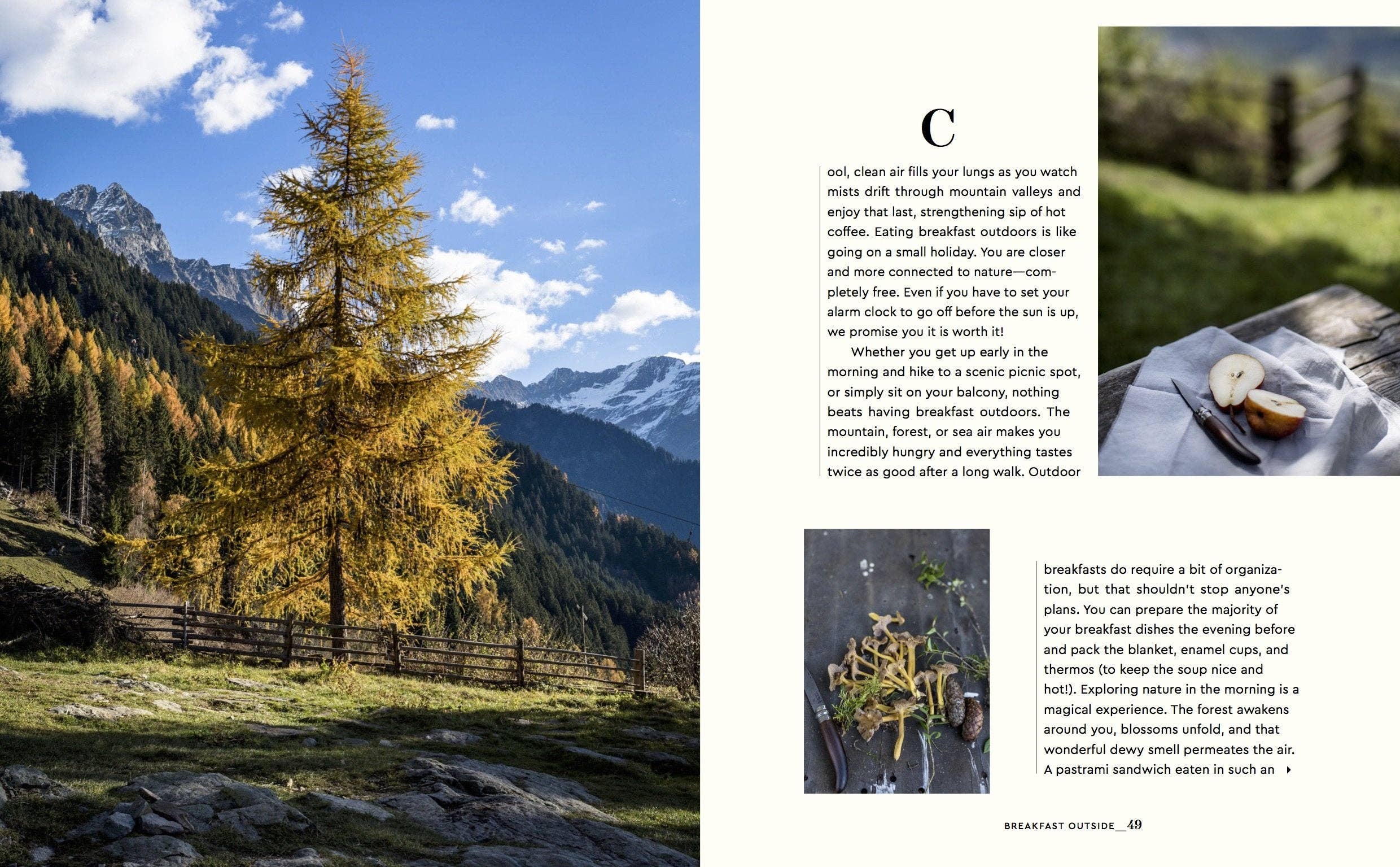 gestalten & teNeues - Wholesale Cookbooks & Food - Stay for Breakfast3