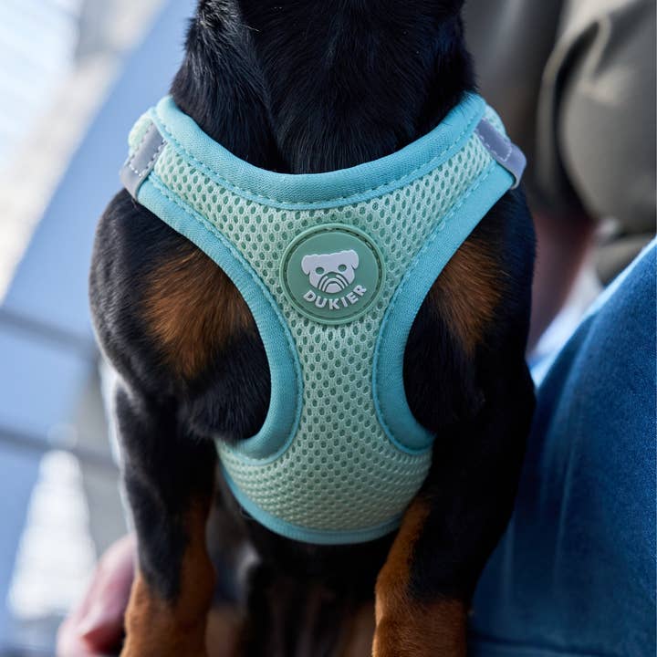 Dukier - Wholesale Pet Harness - Dog - SOFT GREEN DOG BODY HARNESS3