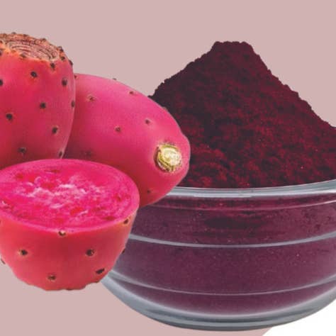 Indus Farms Superfoods - Wholesale Protein/Superfood Powder - 100% Pure Freeze Dried Prickly Pear Powder, GMO-Free1
