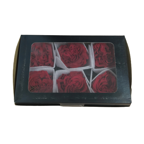 Concari.flores Preservadas - Wholesale Artificial Flowers - PRESERVED GARDEN ROSE2