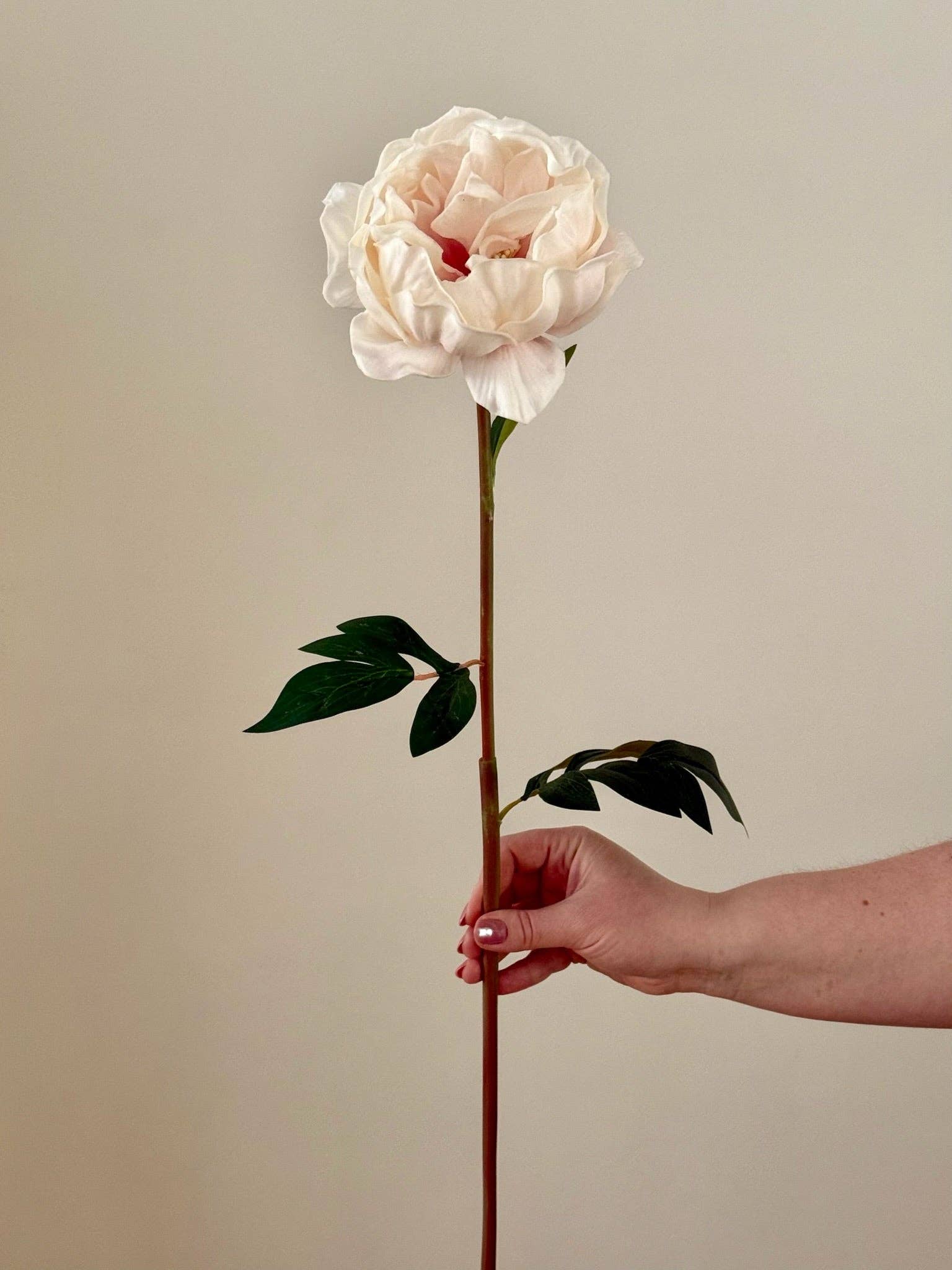 Eucalypt Co. - Wholesale Artificial Flowers - Real Touch Large Peony2