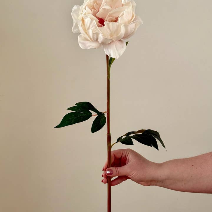 Eucalypt Co. - Wholesale Artificial Flowers - Real Touch Large Peony2