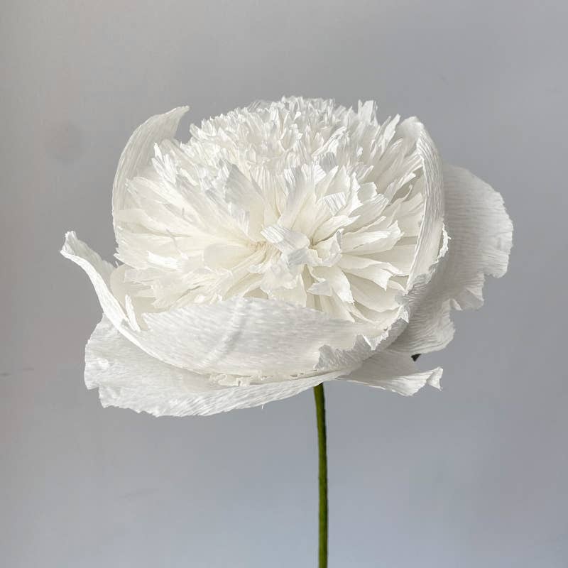 Papercraft Miracles LLC - Vente Fleurs artificielles - Fleur de pivoine charme en papier crépon (petite)0