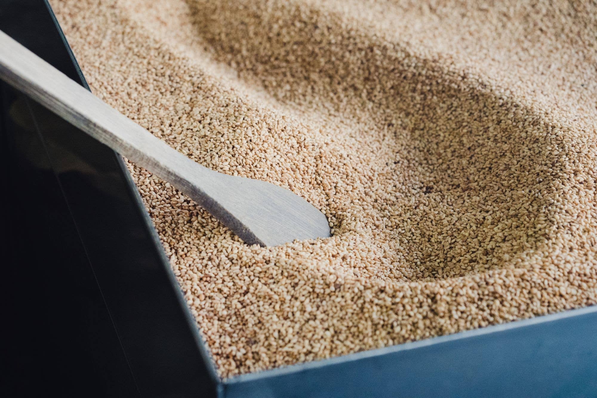 Japan Artisans - Wholesale Seeds/Kernels - Henko–Roasted White Sesame seeds80g | Kyoto, Japan5