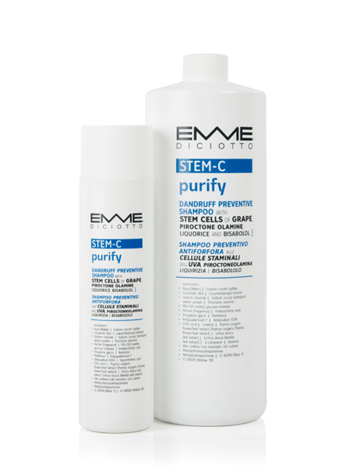VORGES COIFFURE avec Emme Diciotto France - Wholesale Hair Shampoo - STEM-C Purify Anti-Dandruff Shampoo1