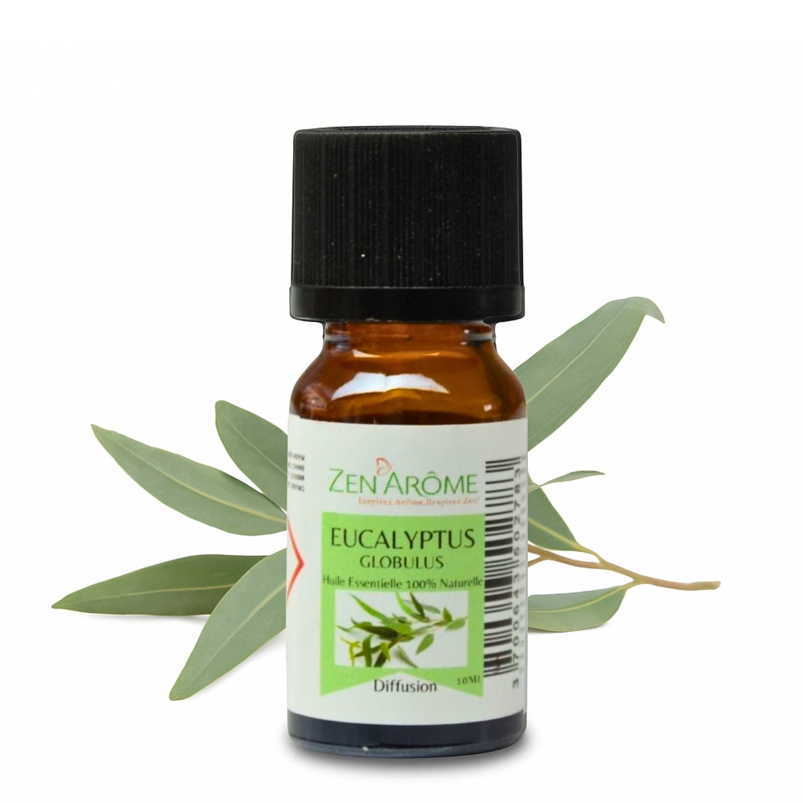 Zen'Arôme – wholesale Eterisk olja – Eukalyptus eterisk olja – 100 % naturlig – 10 ml11