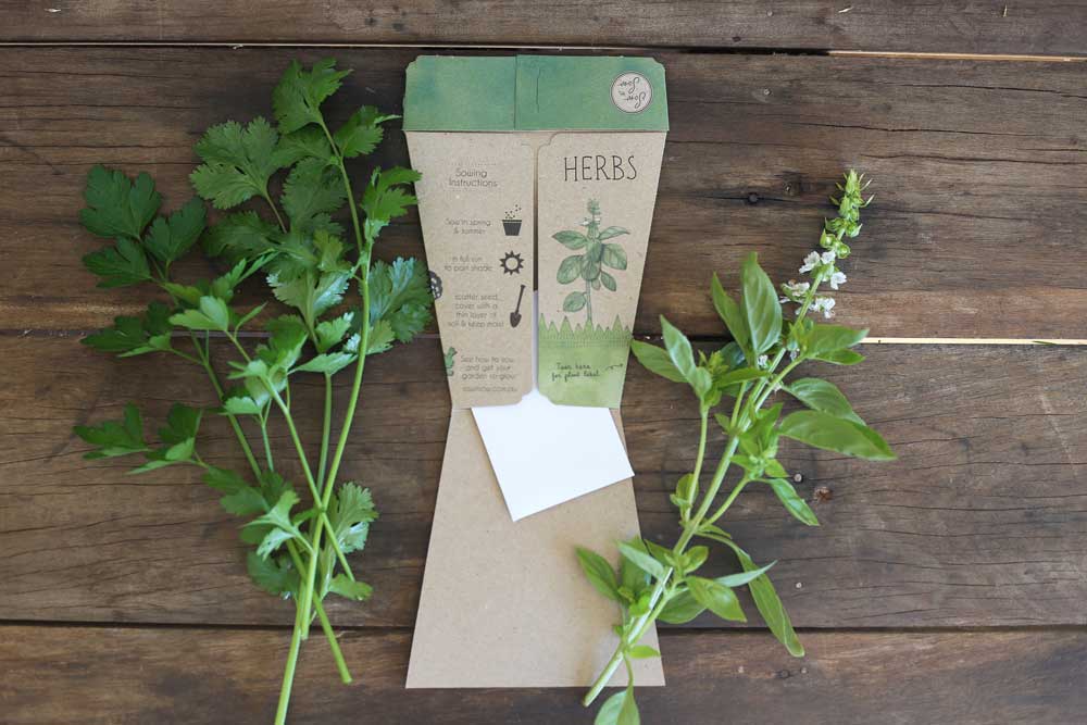 Sow 'n Sow - Venta al por mayor Semillas de plantas - Regalo de semillas Trio of Herbs (solo Australia)3