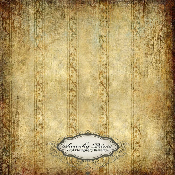 NYHED 5ft x 5ft Vinyl Fotografering Baggrund /Neutral for engroshandel hos Swanky Prints