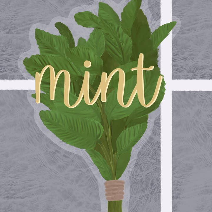 Kellio Studio - Venta al por mayor Pegatina - Pegatinas para plantas8