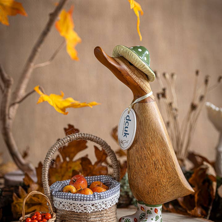 DCUK – wholesale Decorative figurine – DCUK Fungi Friends Ducklings3