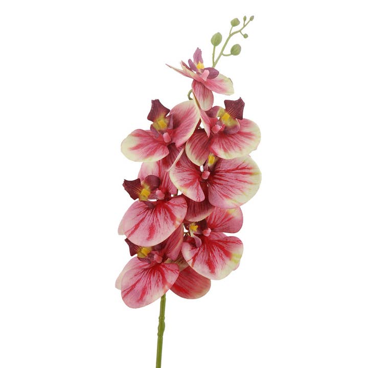 Aguilar Málaga - Wholesale Artificial Flowers - Orchid X7 Red 86cm (32)
