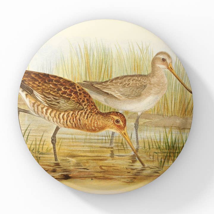 Black Tailed Godwit Pin, Bird Keychain, Bird Magnet for wholesale by NatureCuts