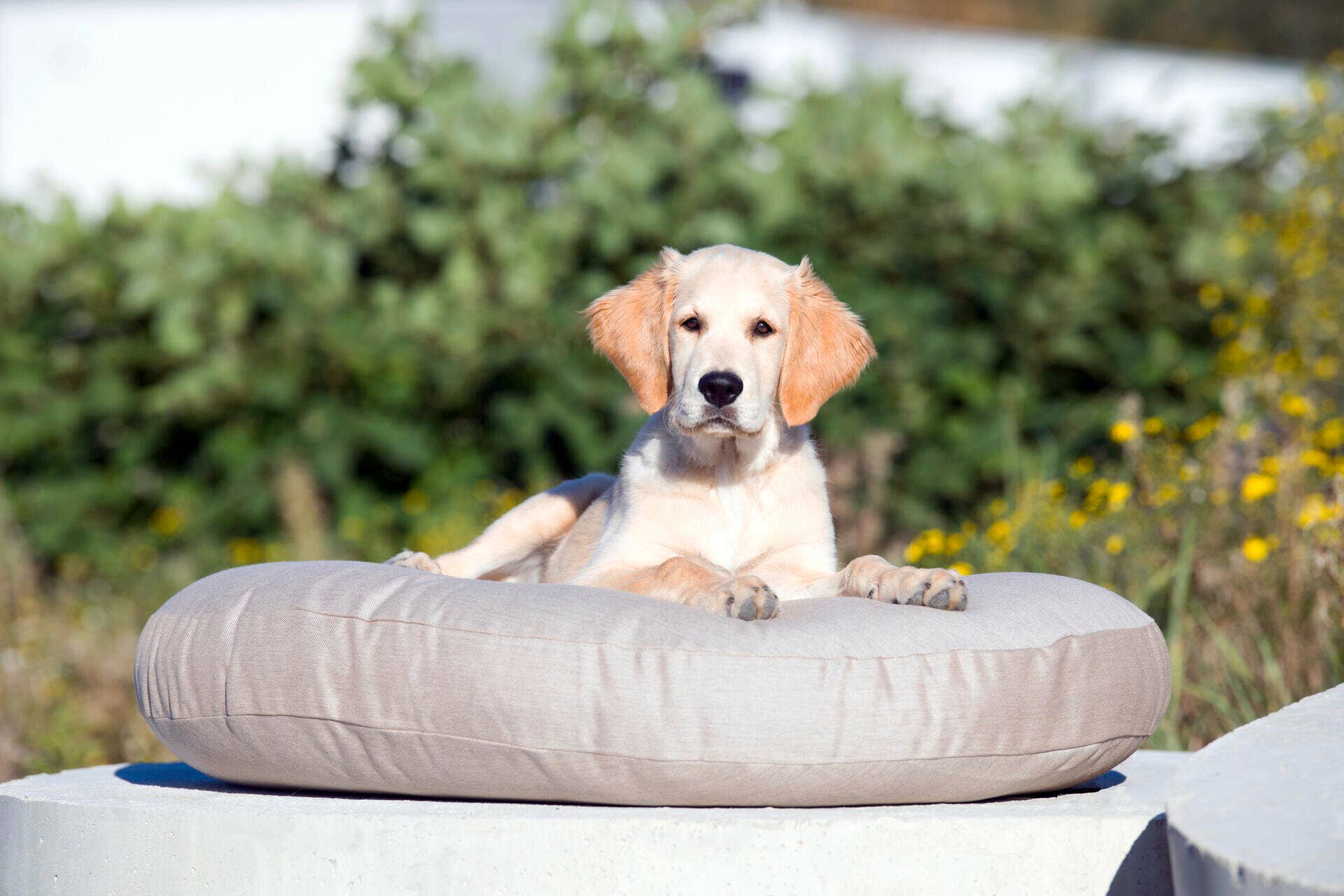 LABONI - Volentis GmbH - Wholesale Pet Bed - Dog - Vogue Design Smooth Dog Bed Collection7