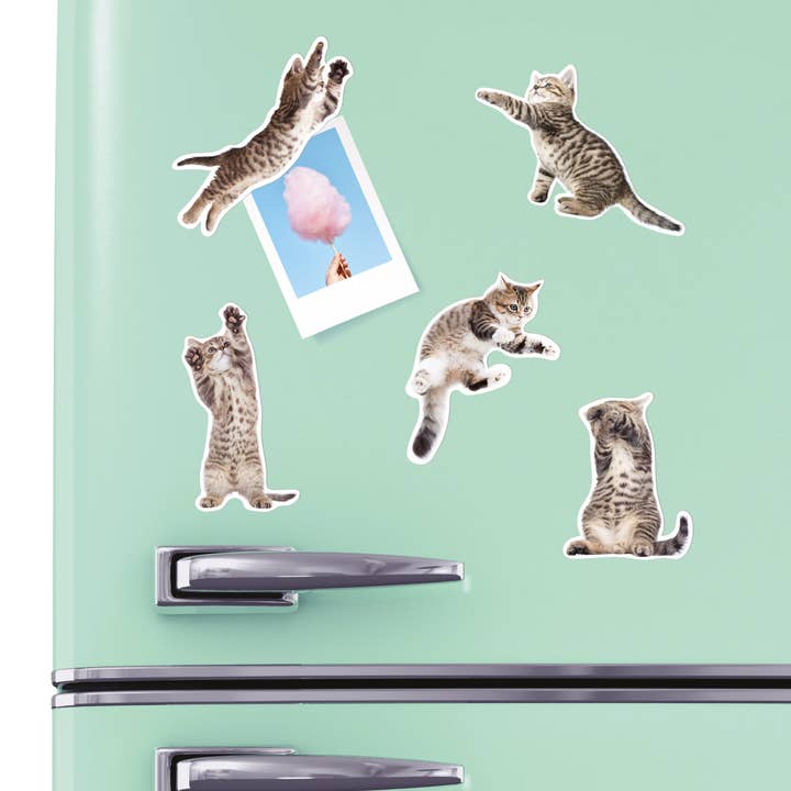 Mustard - Wholesale Magnet - Action Cat Magnets1