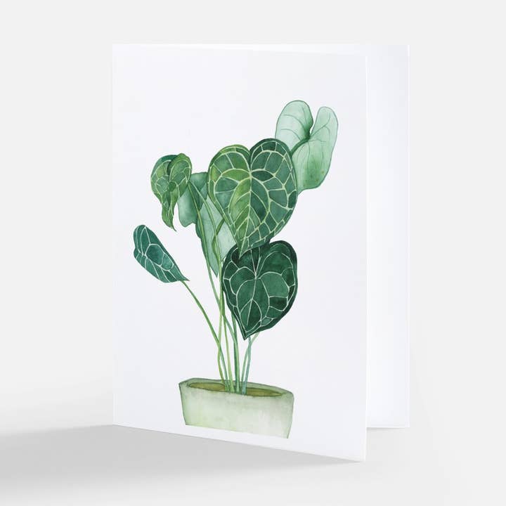 Potted Plant Greeting Card for wholesale by Natella Libin