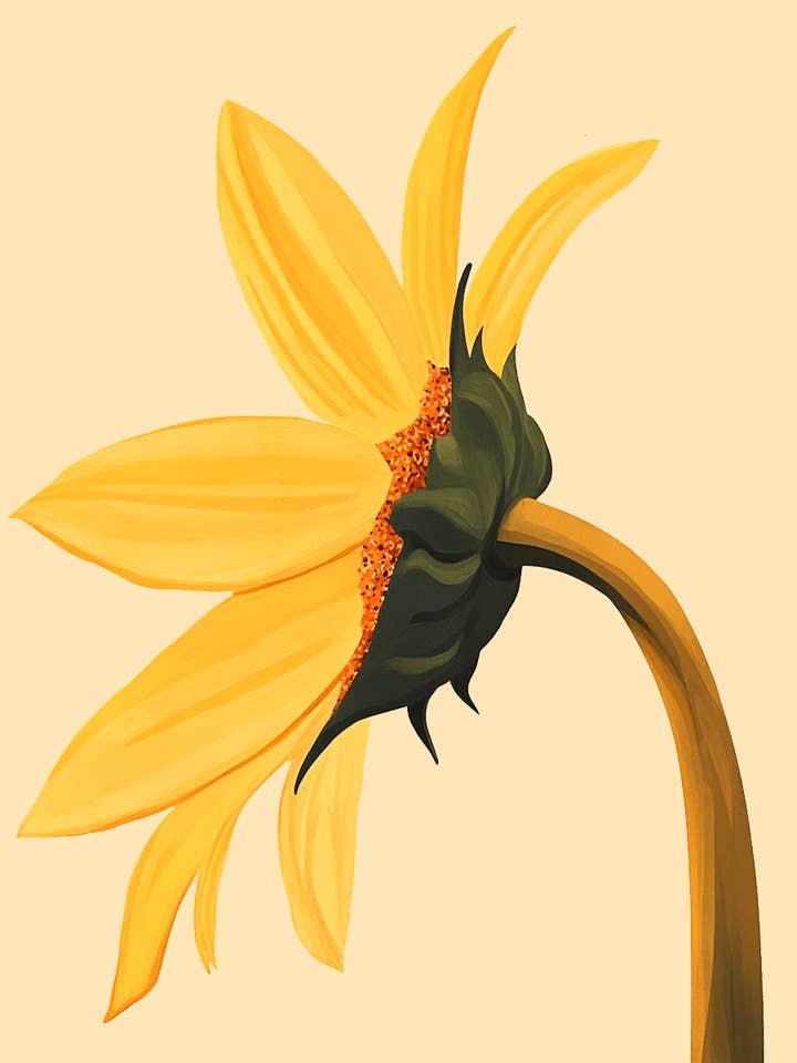 Solros - Väggkonsttryck för barnkammare - 8 ”x10" konsttryck för 11 ”x14" ram för wholesale av Mowbi